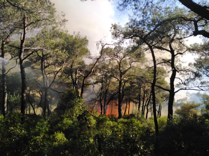 Heybeliada'daki yangınla ilgili olarak bir kişi tutuklandı